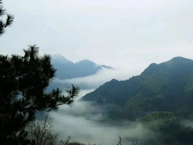 湖北金拉霸有限公司