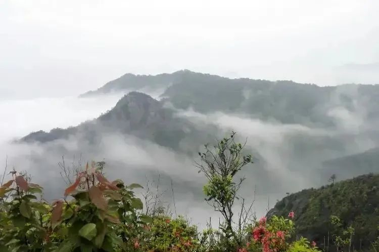 湖北金拉霸有限公司