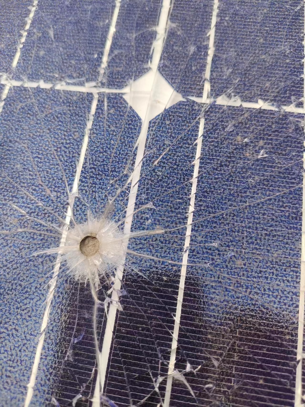 湖北金拉霸有限公司