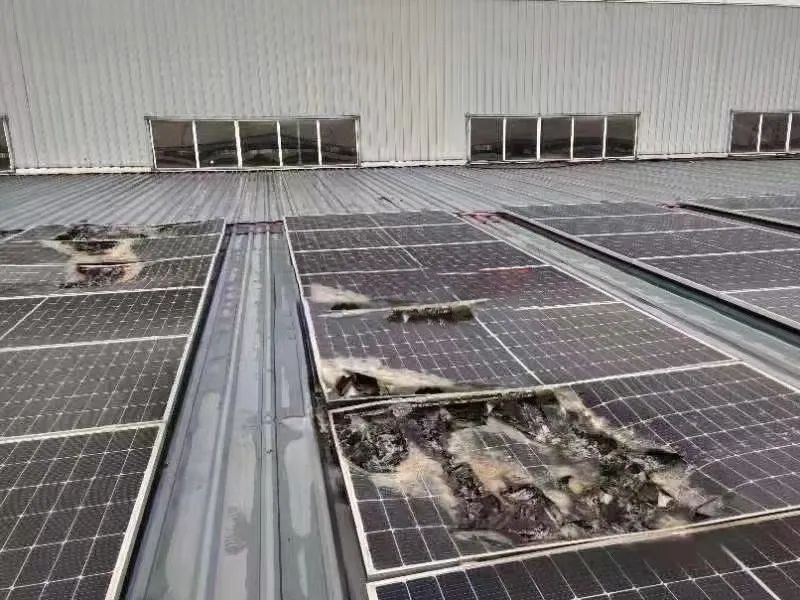 湖北金拉霸有限公司