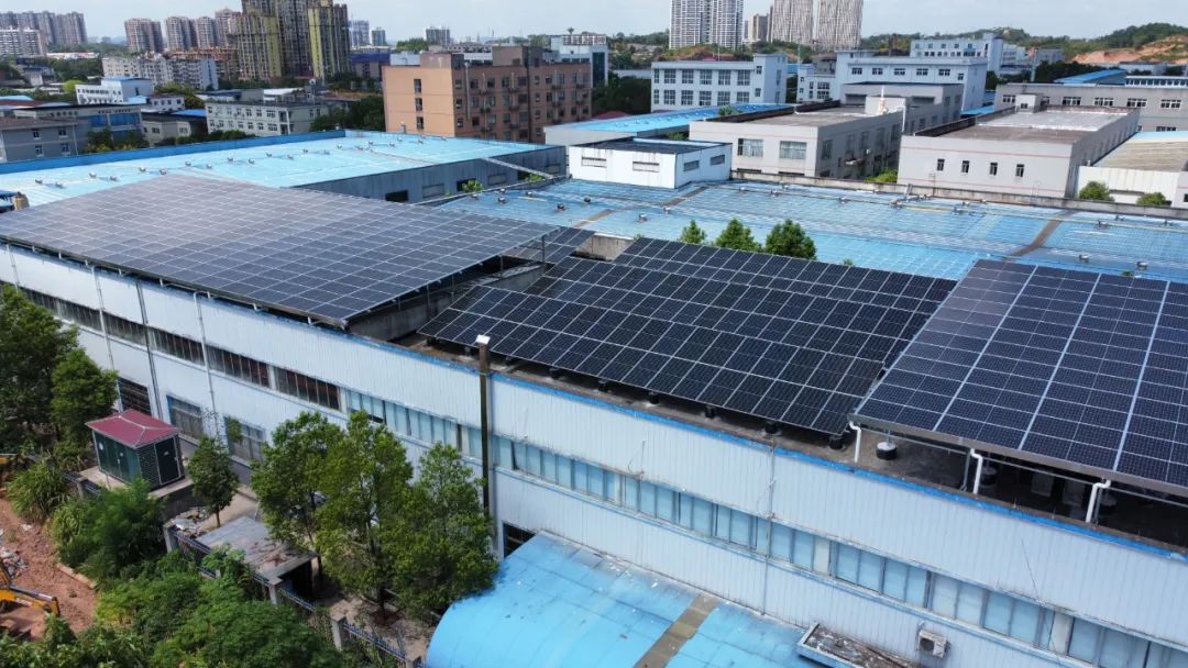 湖北金拉霸有限公司